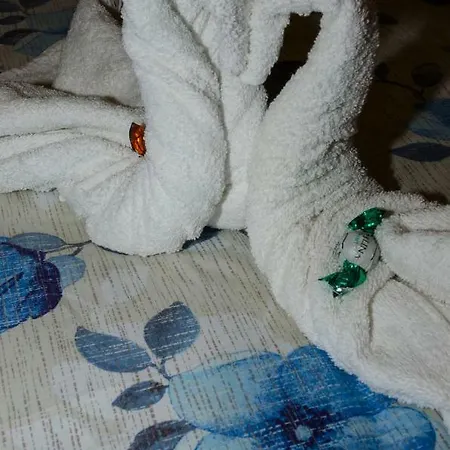 Hello Rose - Intero * ローマ