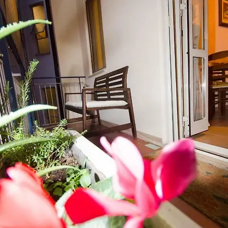 Hello Rose - Intero Rome