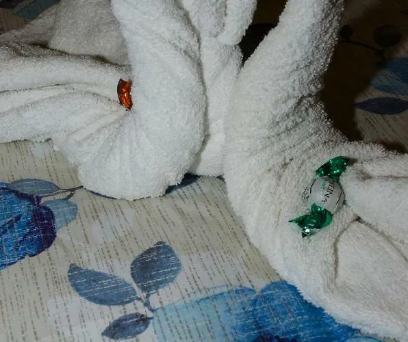 Hello Rose - Intero * Рим