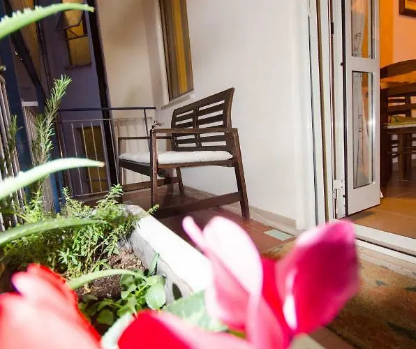 Hello Rose - Intero Rome